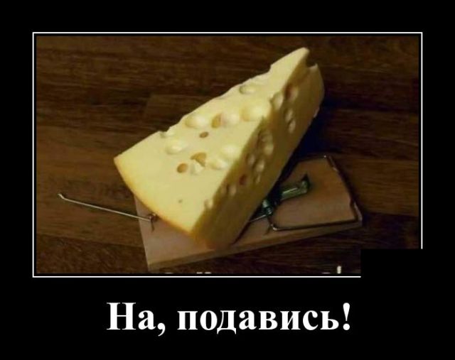 Демотиваторы