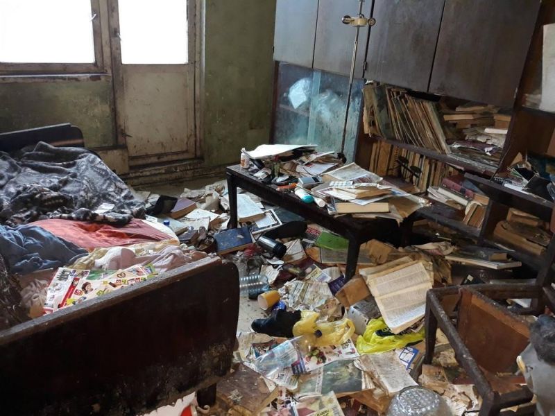 Из-за бабули, приютившей 24 кошки, провонял весь подъезд