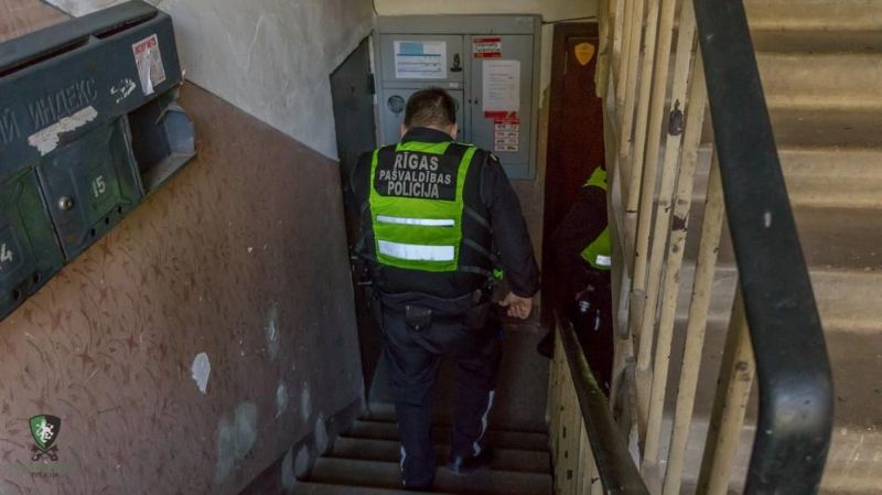 Из-за бабули, приютившей 24 кошки, провонял весь подъезд