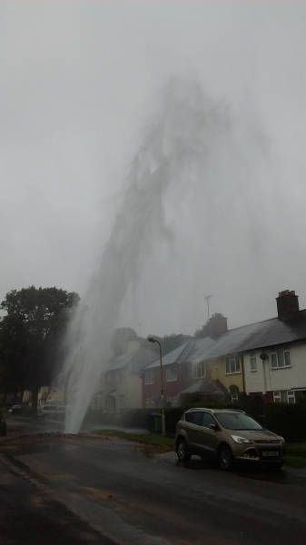Порция картинок