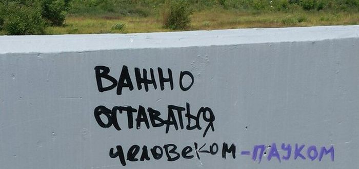 Порция картинок