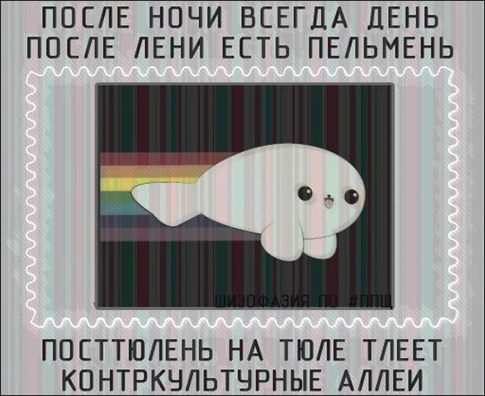 Порция картинок