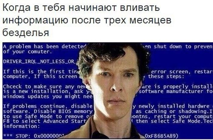 Порция картинок
