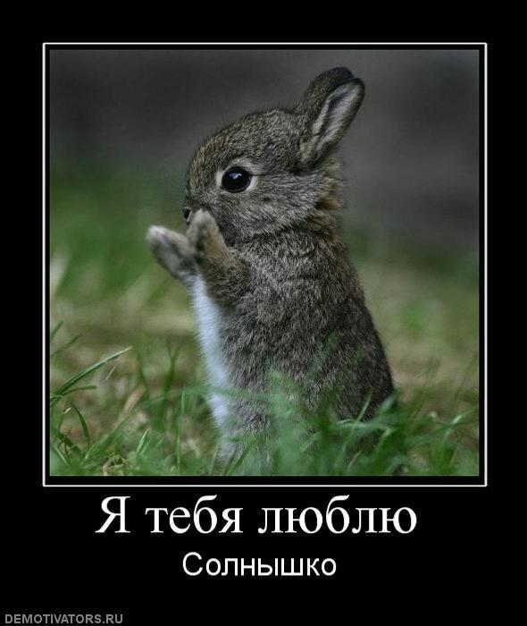 Демотиваторы (74 фото)