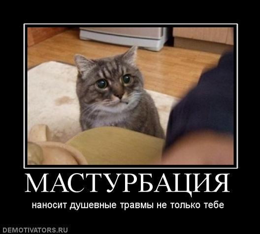 Демотиваторы (74 фото)