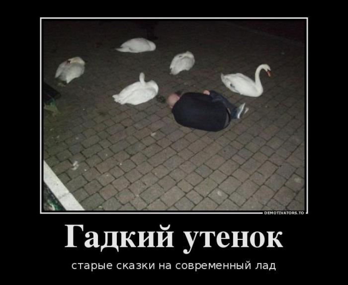 Демотиваторы (74 фото)