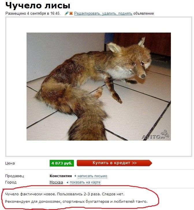 Прикольные картинки (58 фото)