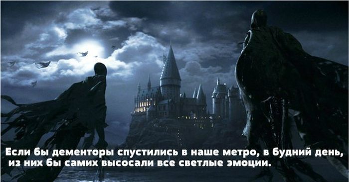 Порция картинок