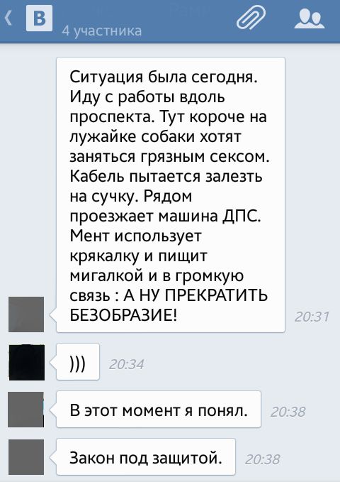 Порция картинок