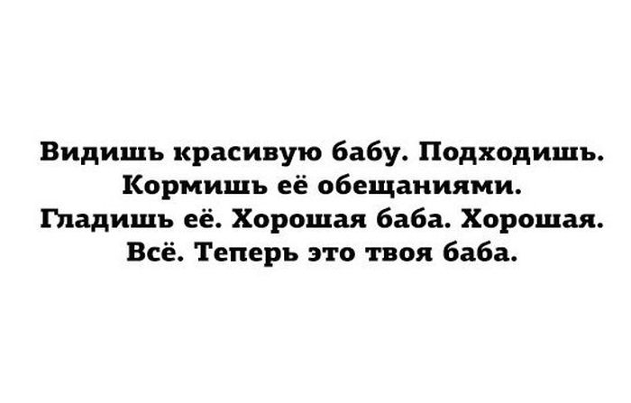 Порция картинок