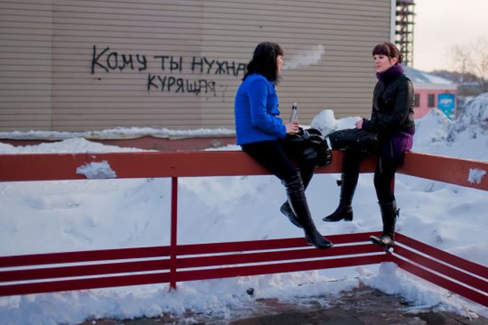 Порция картинок
