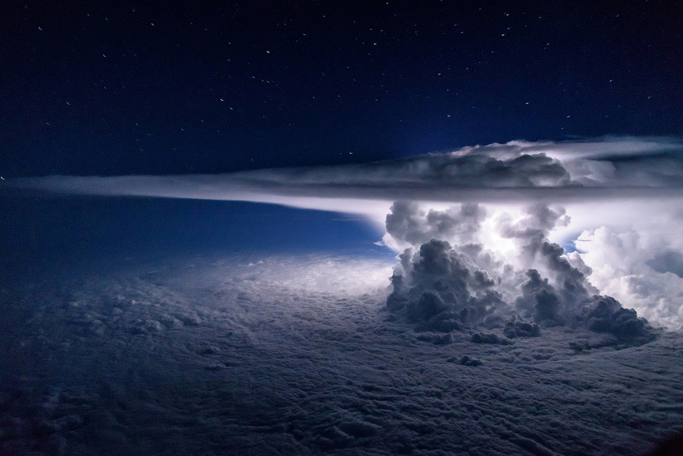 National Geographic: лучший фотограф природы года