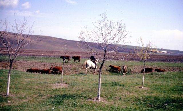 Фото туриста Закари Хоффмана в СССР