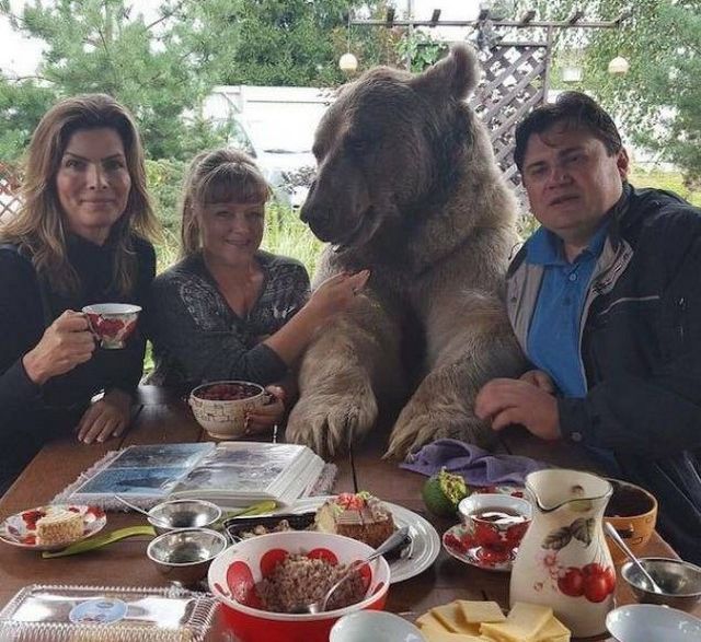 Забавные фотографии, сделанные на территории России