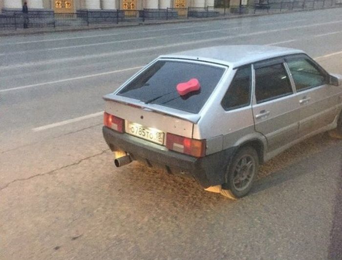 Забавные фотографии, сделанные на территории России