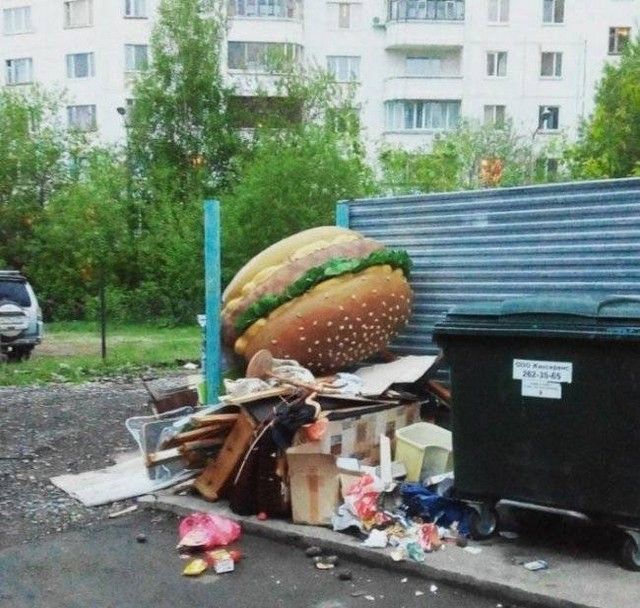 Забавные фотографии, сделанные на территории России