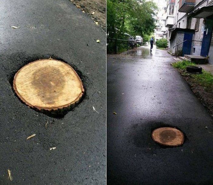 Забавные фотографии, сделанные на территории России