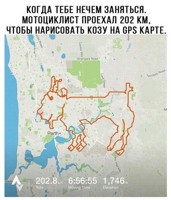 Приколльные картинки