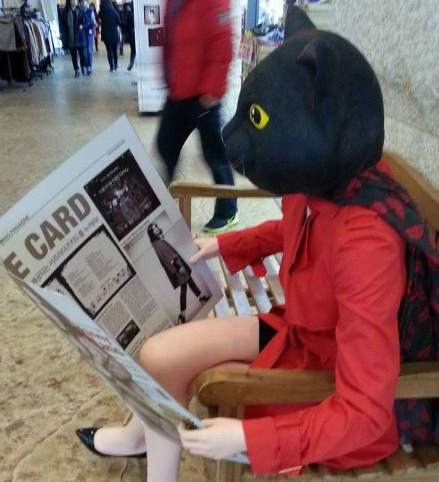 Приколльные картинки