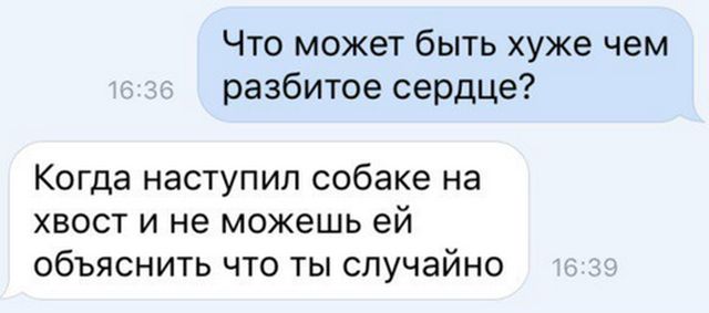 Приколльные картинки