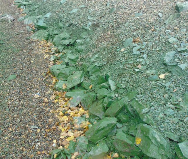 Черноисточинское водохранилище под Нижним Тагилом стало зеленым