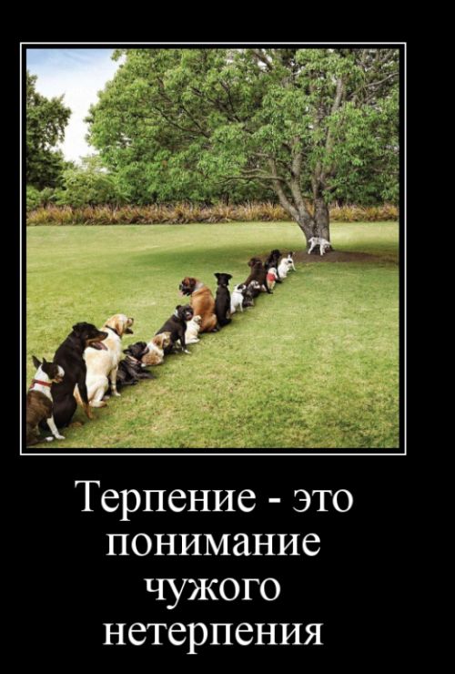Демотиваторы