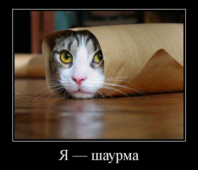 Демотиваторы