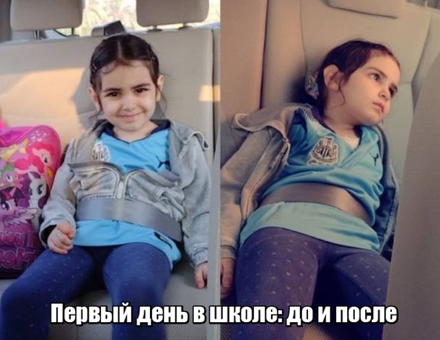 Прикольные картинки