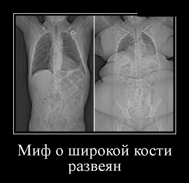 Демотиваторы