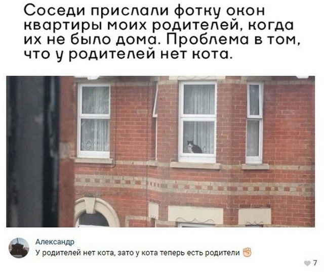 Смешные высказывания из социальных сетей