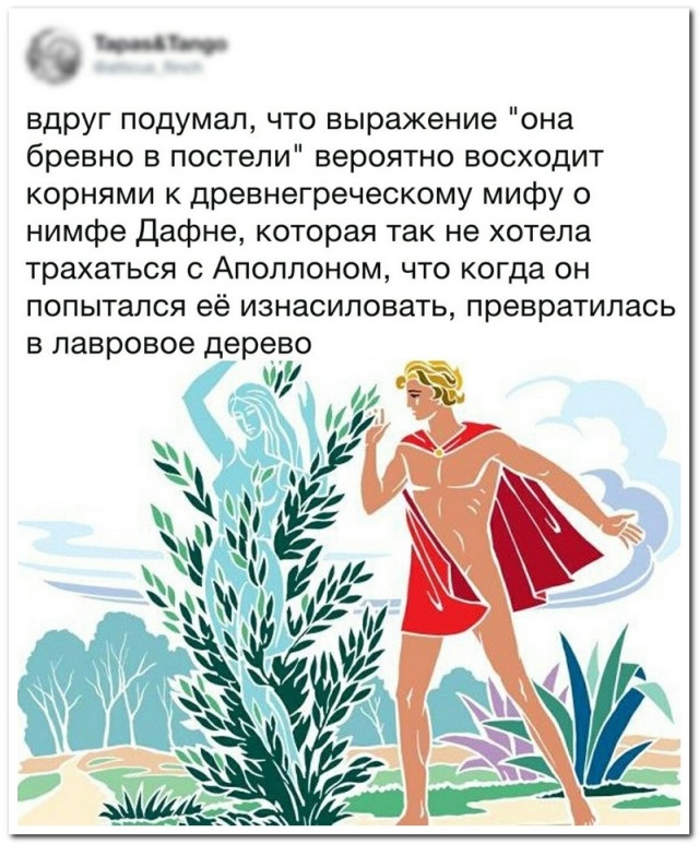 Смешные высказывания из социальных сетей