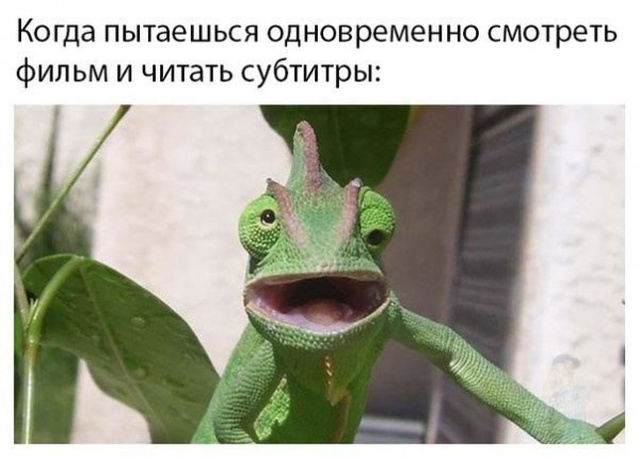 Нестандартный юмор с просторов сети