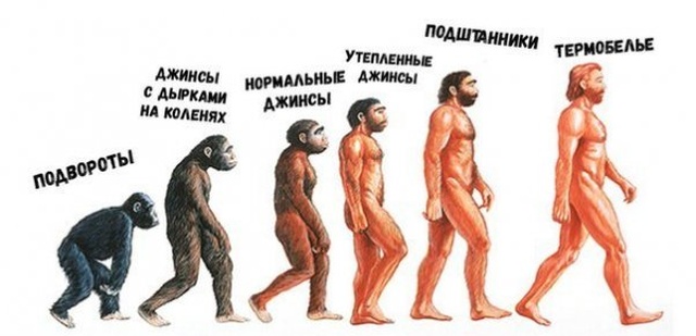 Нестандартный юмор с просторов сети