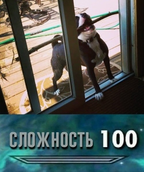 Нестандартный юмор с просторов сети