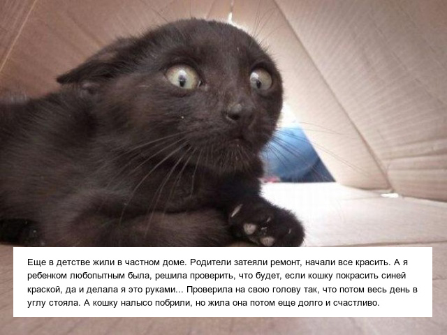 Истории из детства, которые очень стыдно вспоминать