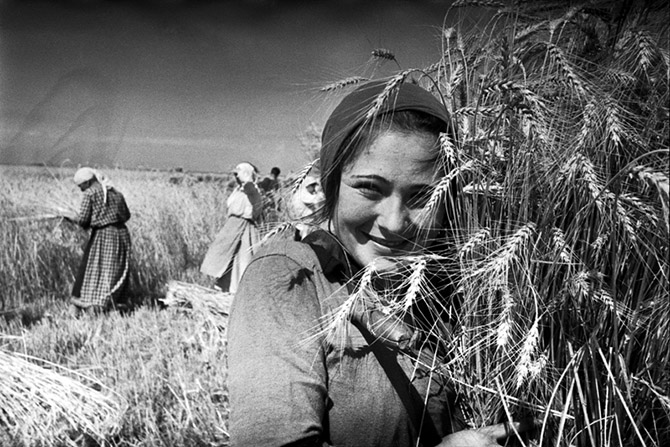 Советская эпоха в знаковых фотографиях Маркова-Гринберга