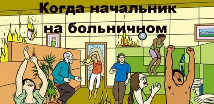 Порция картинок