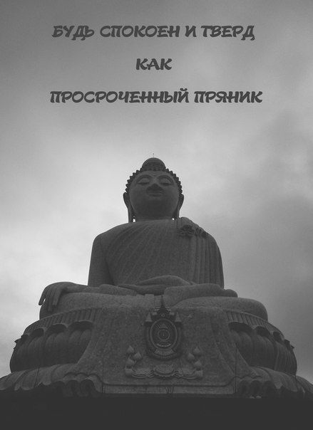 Порция картинок