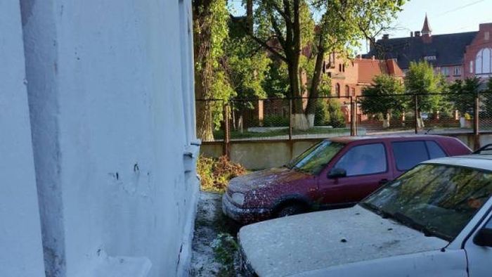 Порция картинок