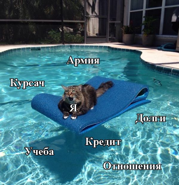 Порция картинок