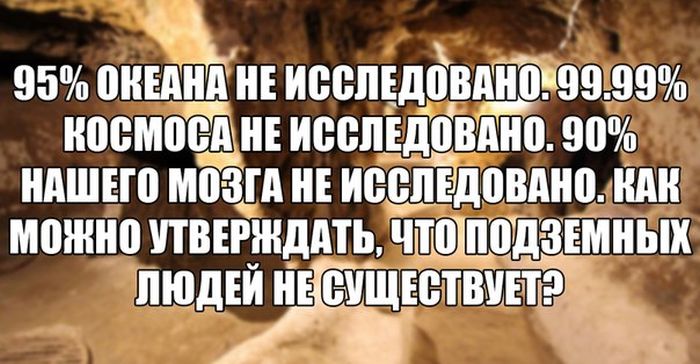 Порция картинок