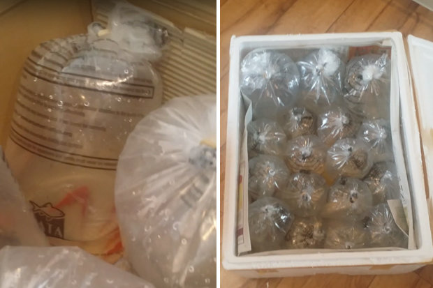 Дама заказала на eBay стол, а получила 40 живых рыбок