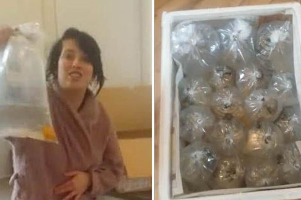 Дама заказала на eBay стол, а получила 40 живых рыбок