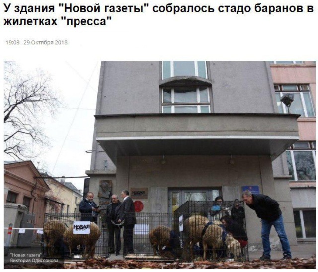 Заголовки новостей, которые заставят вас улыбнуться