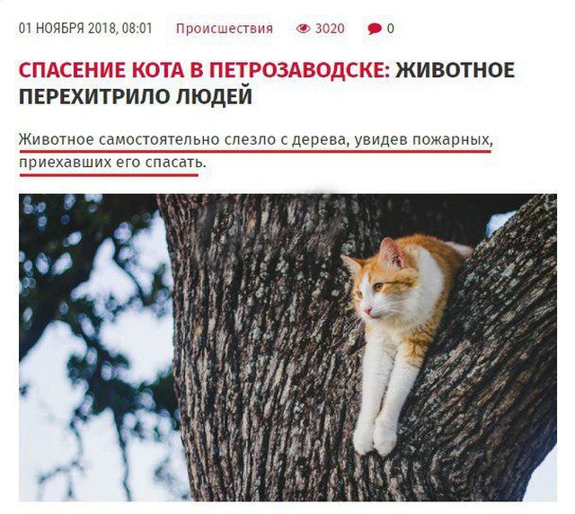 Заголовки новостей, которые заставят вас улыбнуться