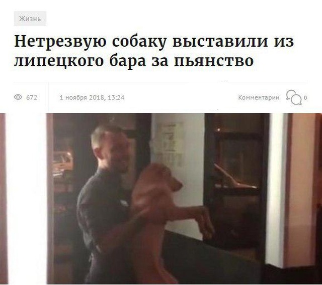 Заголовки новостей, которые заставят вас улыбнуться