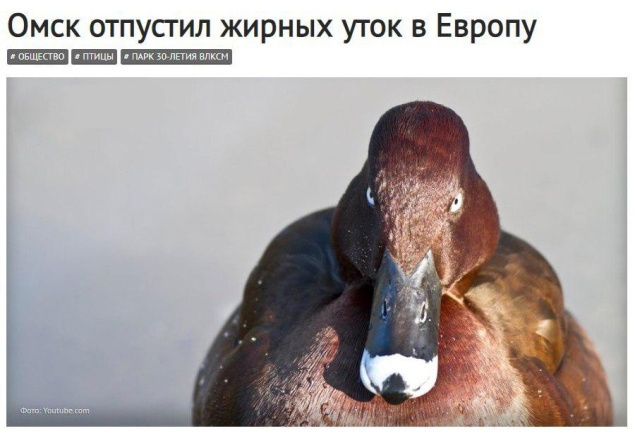 Заголовки новостей, которые заставят вас улыбнуться
