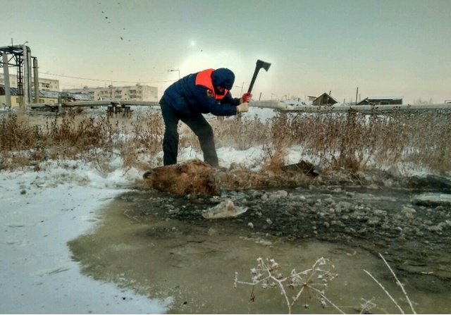 Спасение лошади и жеребенка из "ледяной ловушки" в Якутии