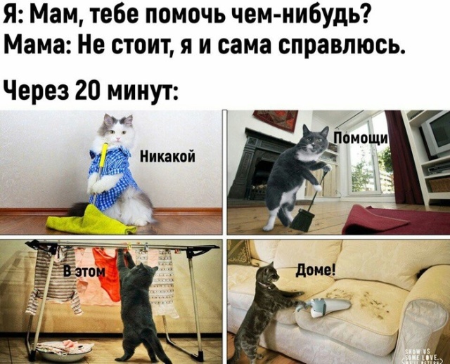 Прикольные картинки