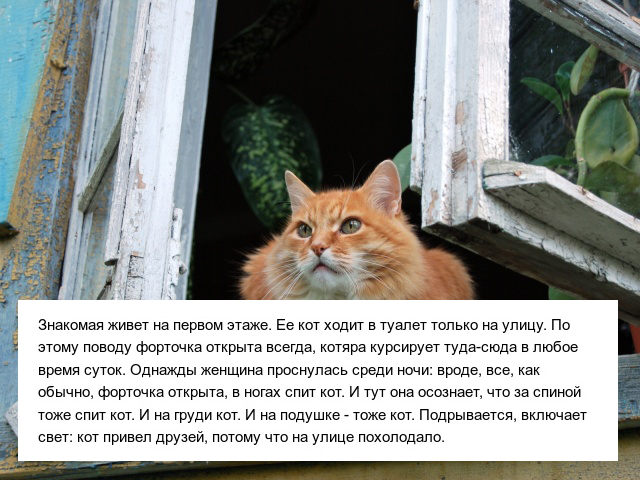 Истории людей из социальных сетей